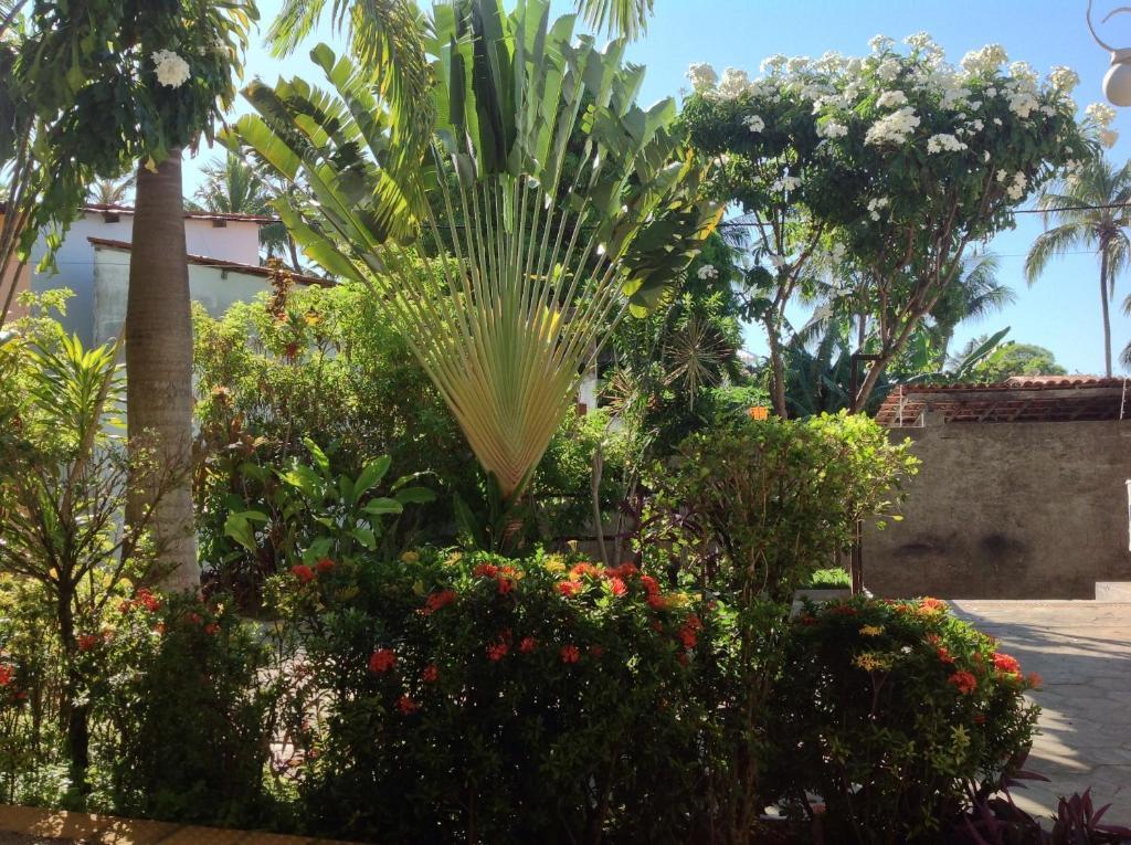 Apartamentos La Piazzetta Duplex Praia de Pipa Bagian luar foto